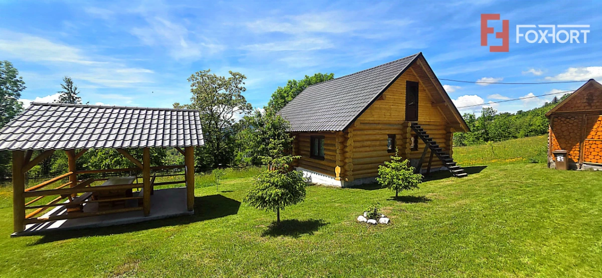 Cabane cu 7 camere de vanzare in Albac - 8