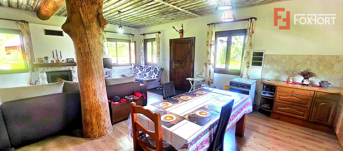 Cabane cu 7 camere de vanzare in Albac - 4