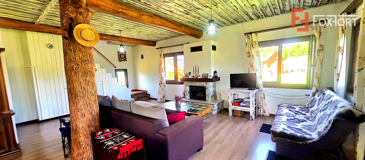 Cabane cu 7 camere de vanzare in Albac - 3
