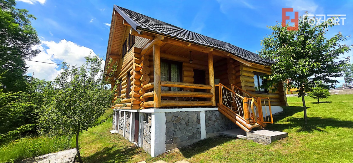 Cabane cu 7 camere de vanzare in Albac - 1