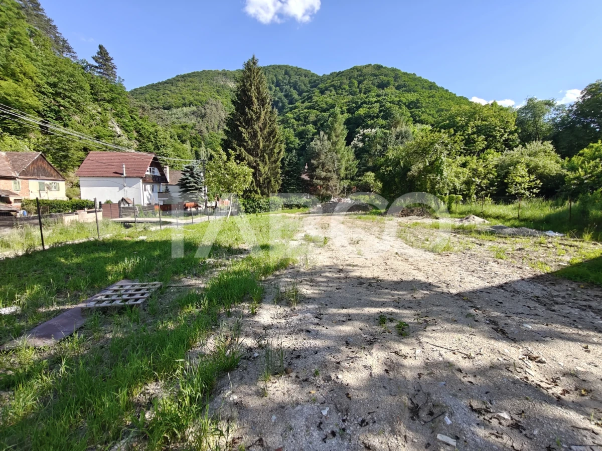 Casa spatioasa - aer curat si priveliste spre munti - teren 1203 mp - 7