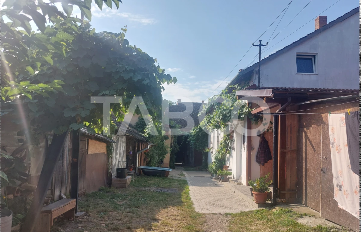 Comision 0% Apartament 63 mpu la curte cu pivnita si gradina Cisnadie - 3