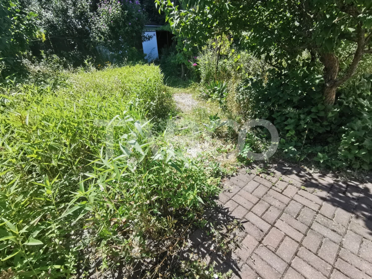 Casa cu 2 camere decomandate 335 mp teren in zona Parcul Tineretului - 6
