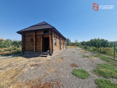 Casa de vacanta in Icloda, langa Balta de pescuit Sportiv Icloda family
