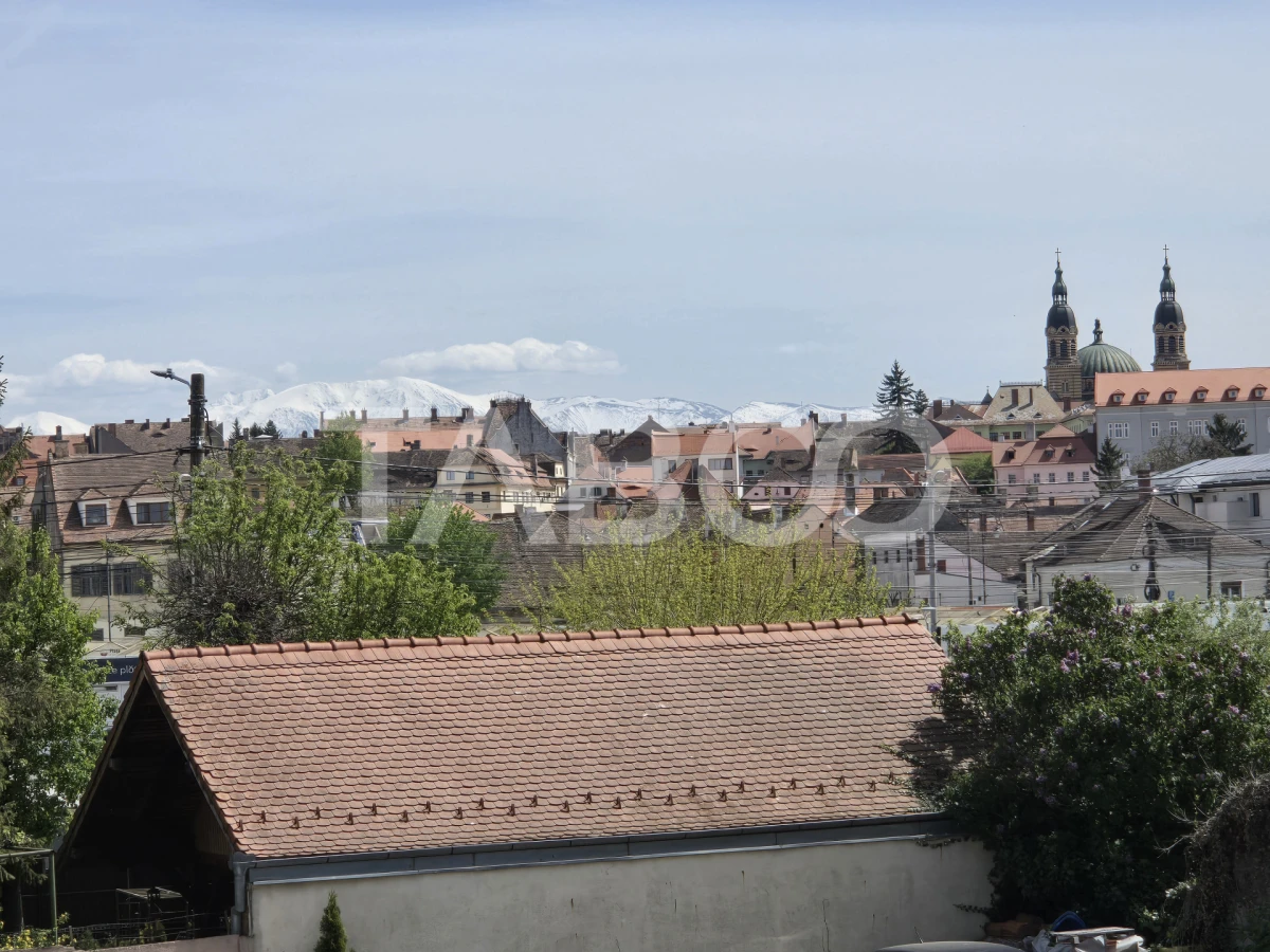 Apartament 5 camere de vanzare 182mpu decomandat zona Piata Cluj Sibiu - 8
