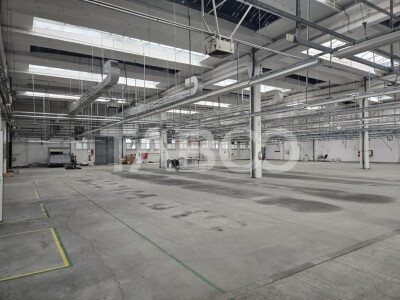 Spatiu industrial de inchiriat 1923mpu in Cisnadie
