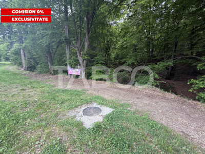 Teren intravilan 1000 mp front stradal 40 m langa Partia de Ski Dragus