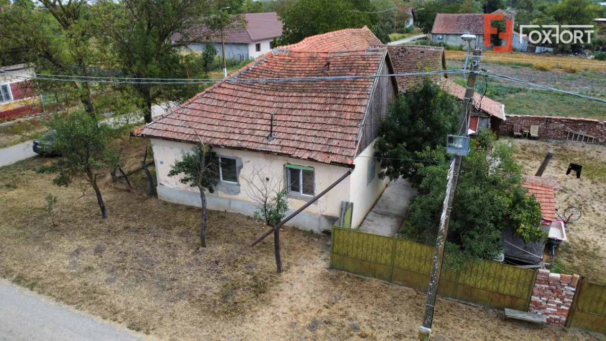 Casa individuala 4 camere si teren 2208 mp in Folea, comuna Voiteg - 10