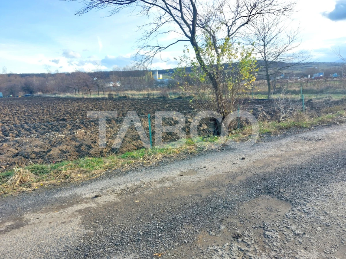 Teren intravilan 1687 mp pentru cabana zona de gradini Cisnadie - 4