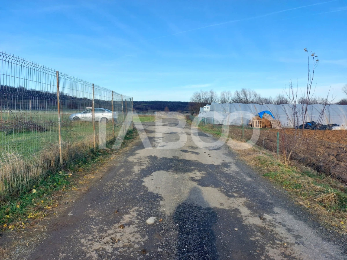 Teren intravilan 1687 mp pentru cabana zona de gradini Cisnadie - 3