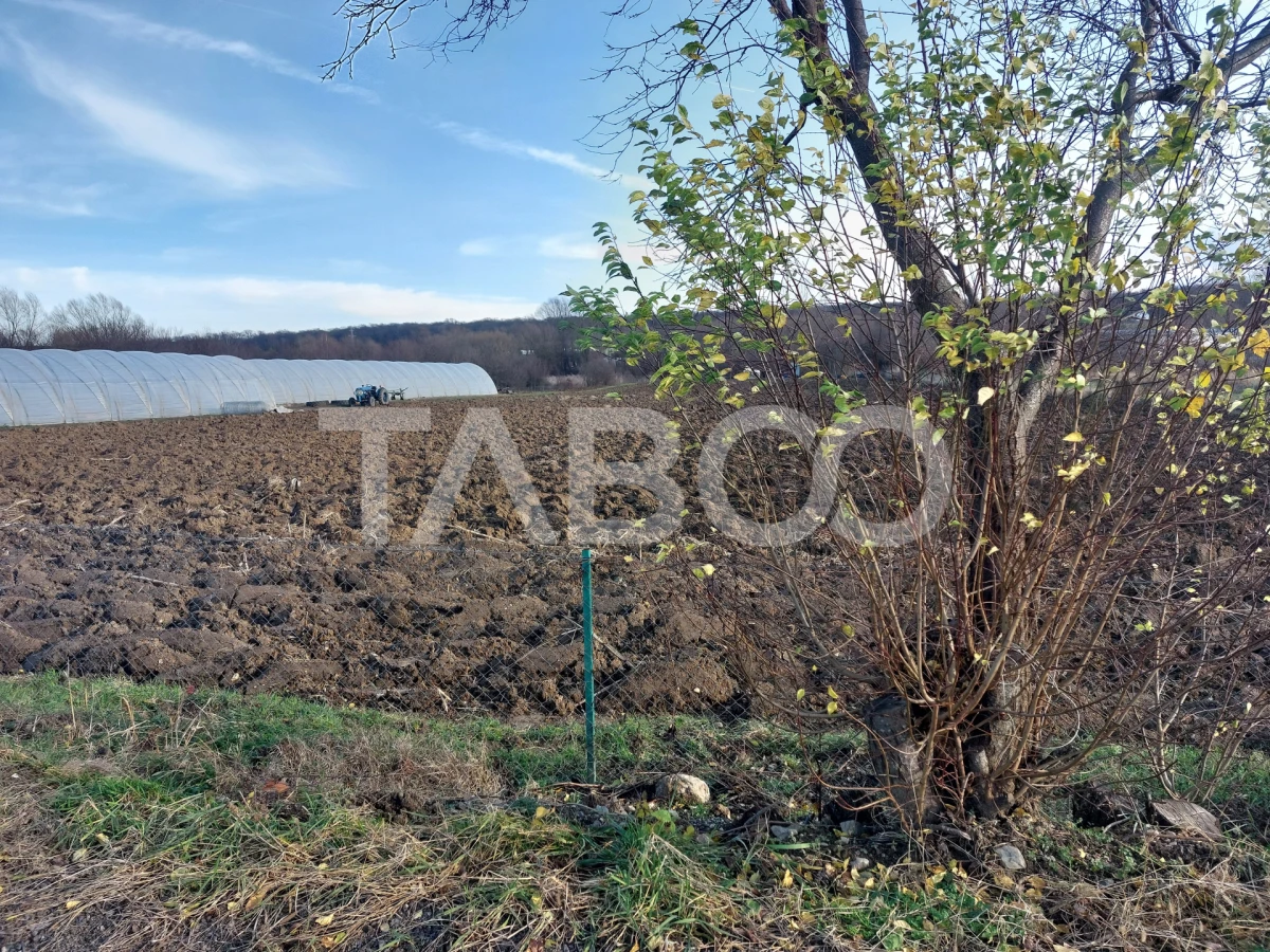 Teren intravilan 1687 mp pentru cabana zona de gradini Cisnadie - 2