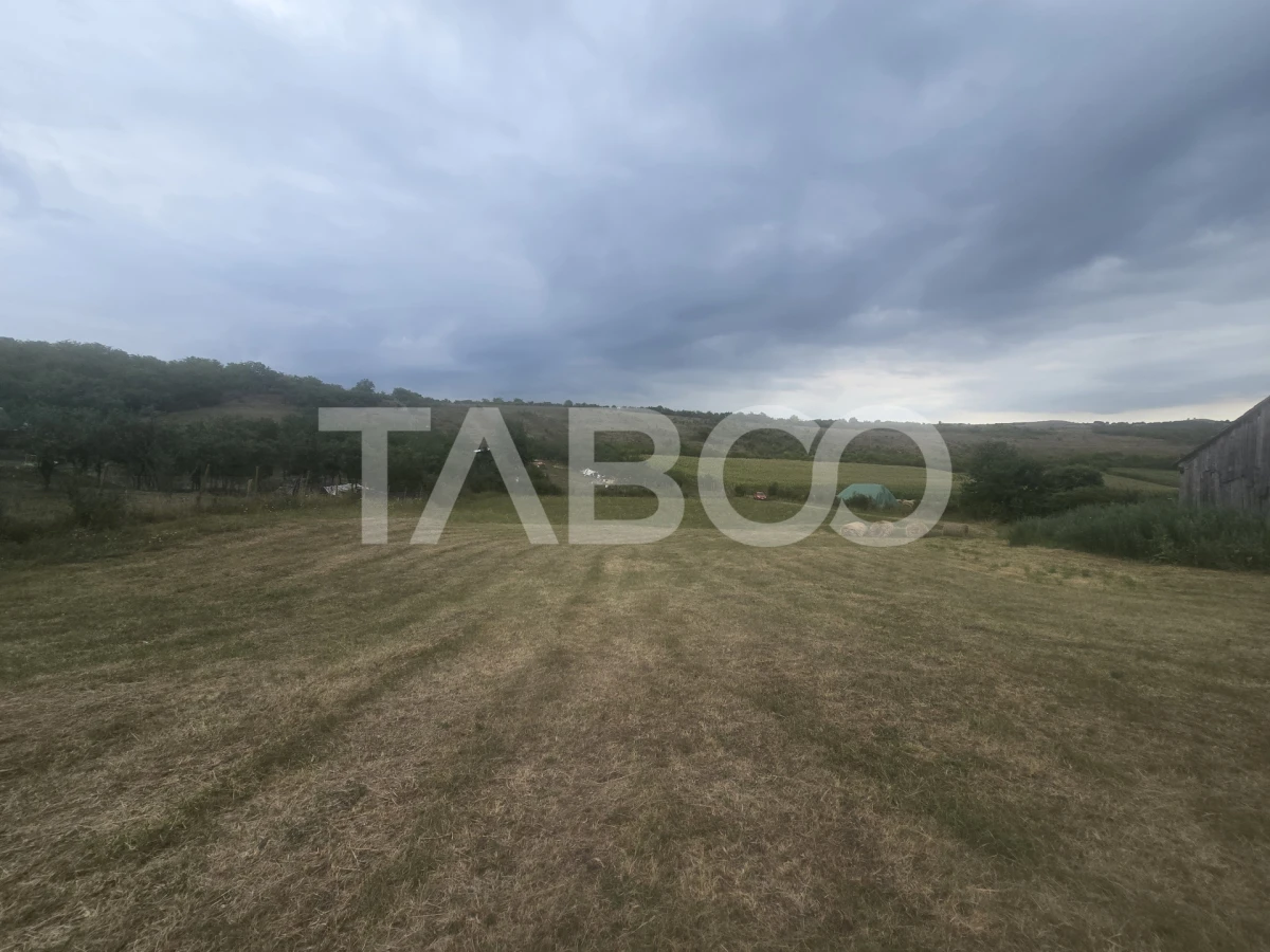 Teren de vanzare 8700 mp cu un front de 30m in Sura Mare - 8