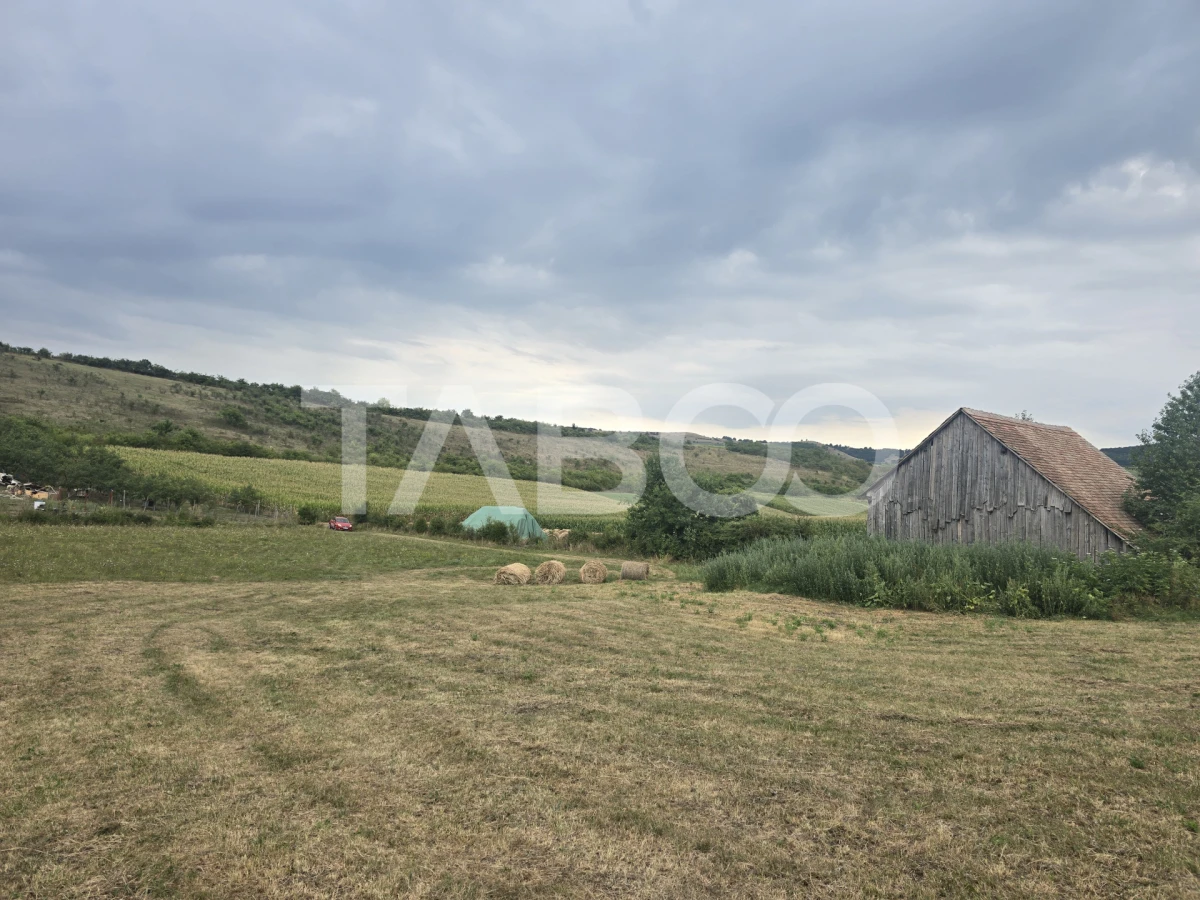Teren de vanzare 8700 mp cu un front de 30m in Sura Mare - 7