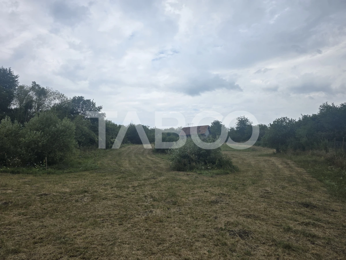 Teren de vanzare 8700 mp cu un front de 30m in Sura Mare - 6