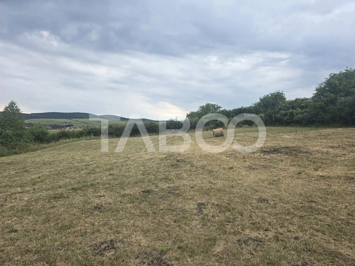Teren de vanzare 8700 mp cu un front de 30m in Sura Mare - 5