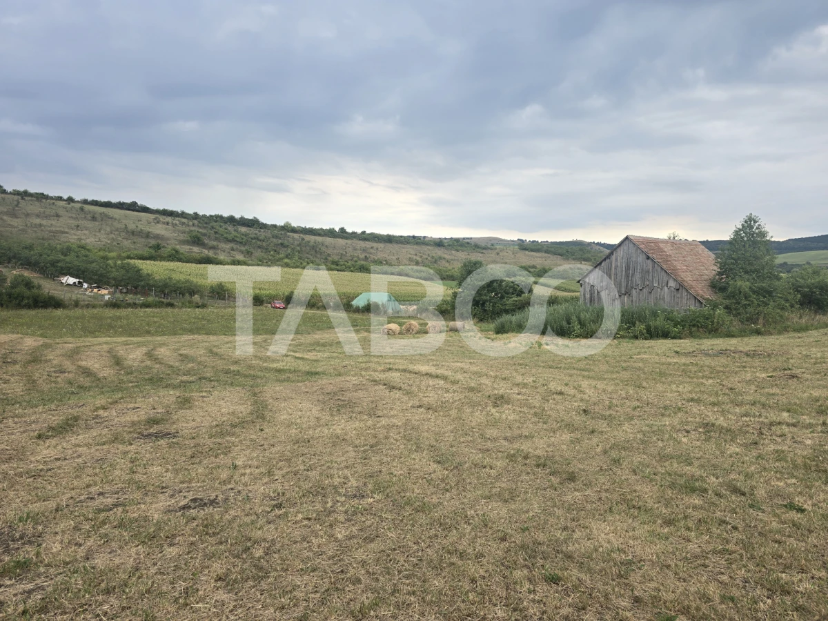 Teren de vanzare 8700 mp cu un front de 30m in Sura Mare - 4