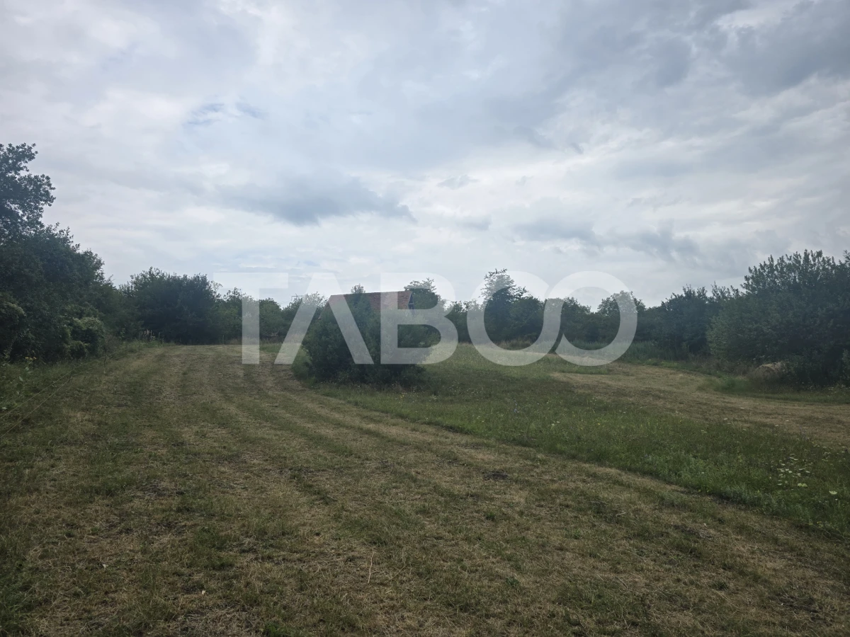 Teren de vanzare 8700 mp cu un front de 30m in Sura Mare - 3