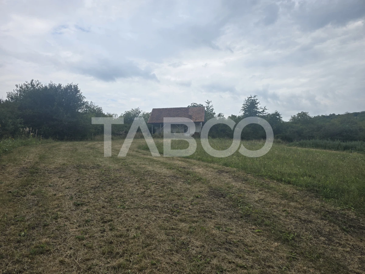 Teren de vanzare 8700 mp cu un front de 30m in Sura Mare - 2