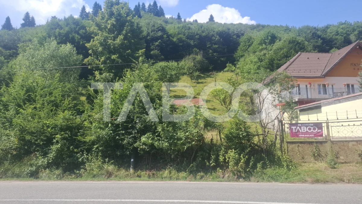 Teren 2501 mp Curmatura Rasinari 40 m deschidere la drum spre Paltinis - 7