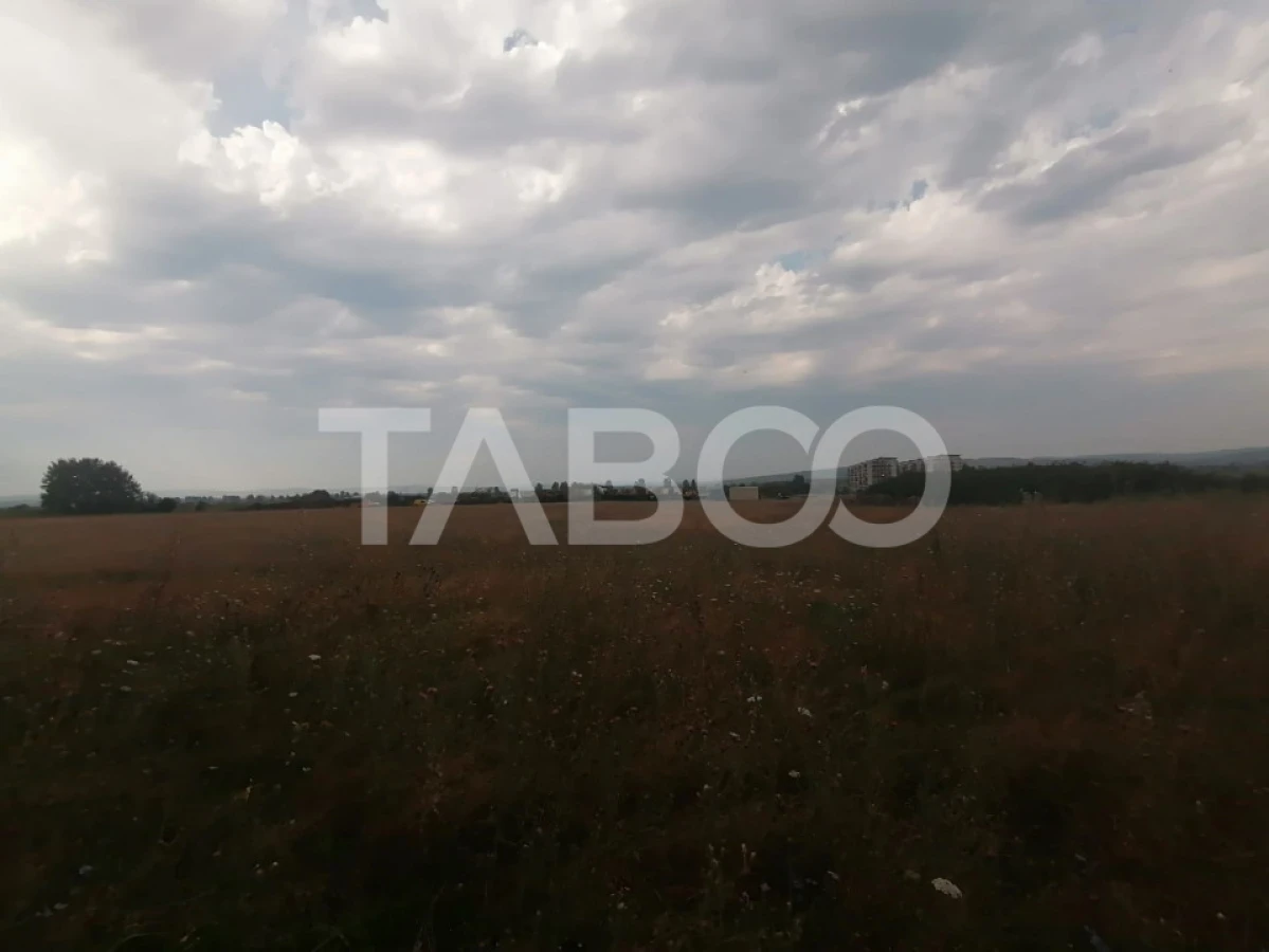 Teren de vanzare de 9.000 mp la sosea zona Industriala Vest - 2