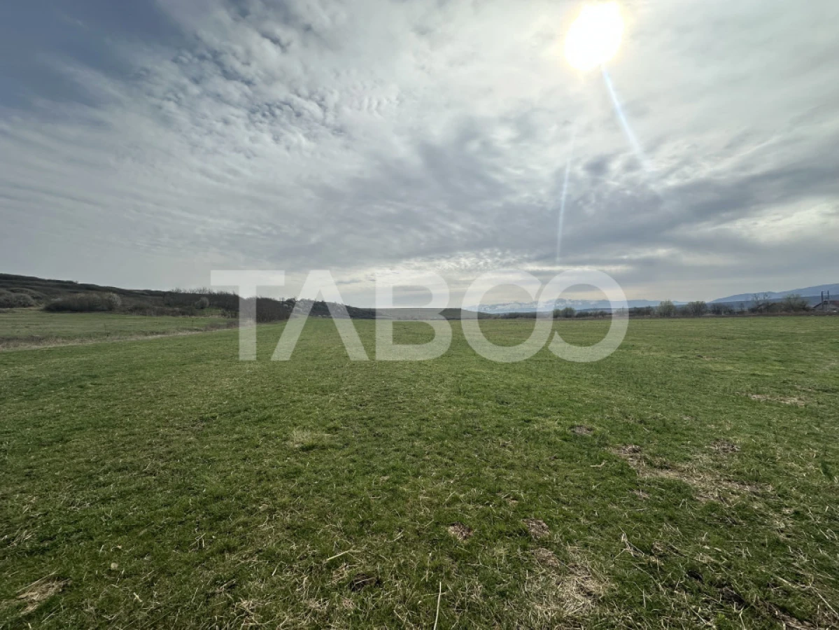 Teren 23.486 mp, deschidere 80 m, ideal comercial/industrial - 1