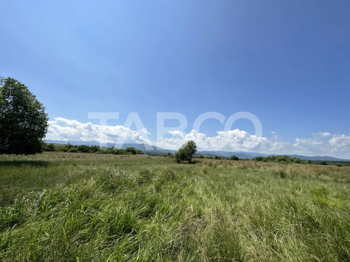 Teren intravilan 5000 mp zona Turnisor din Sibiu - 1