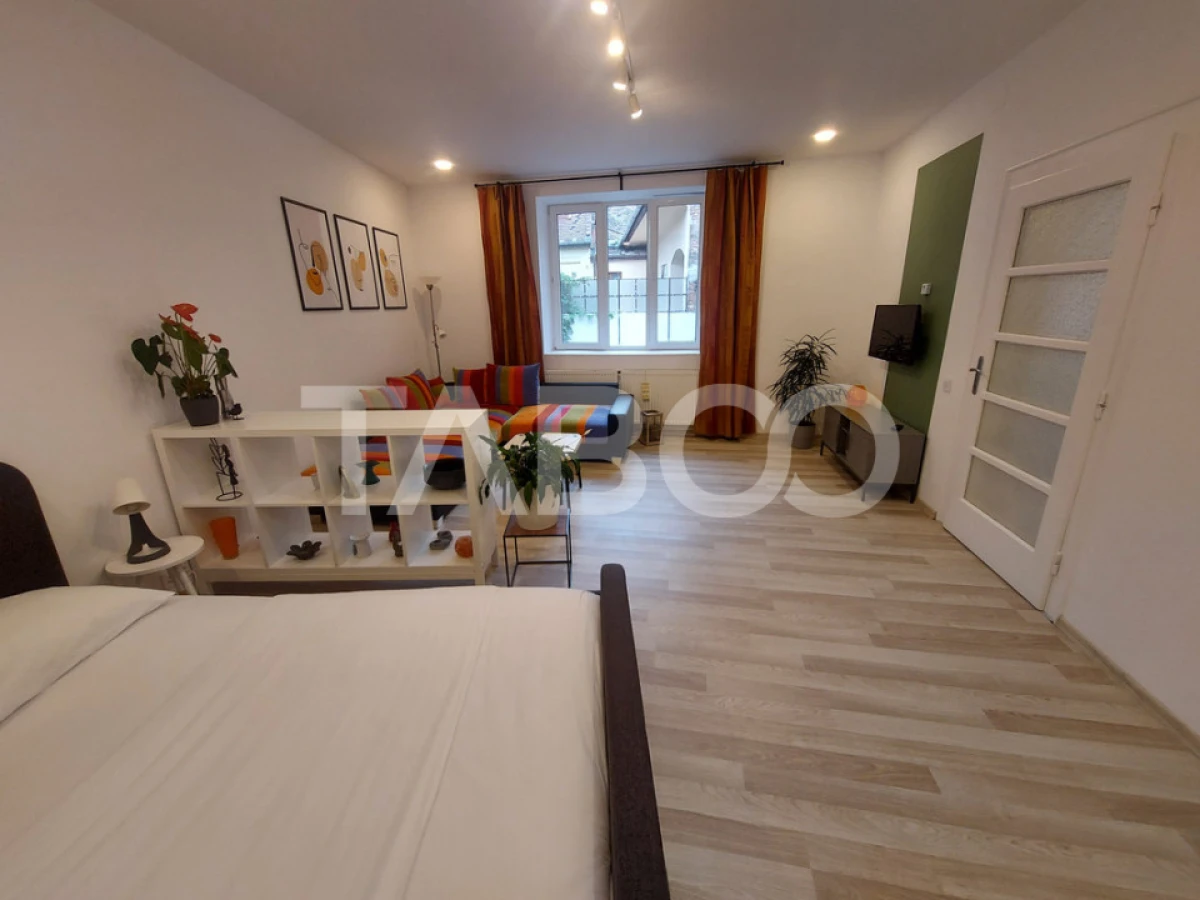 Garsoniera de vanzare 43 mpu pivnita in Sibiu zona Orasul de Jos - 1