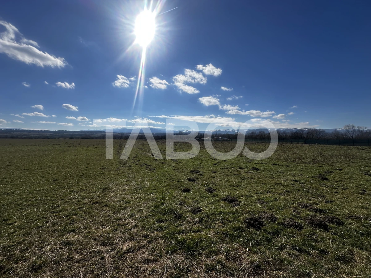 Teren de vanzare 2200 mp cu deschidere de 28 ml in Sibiu - 2