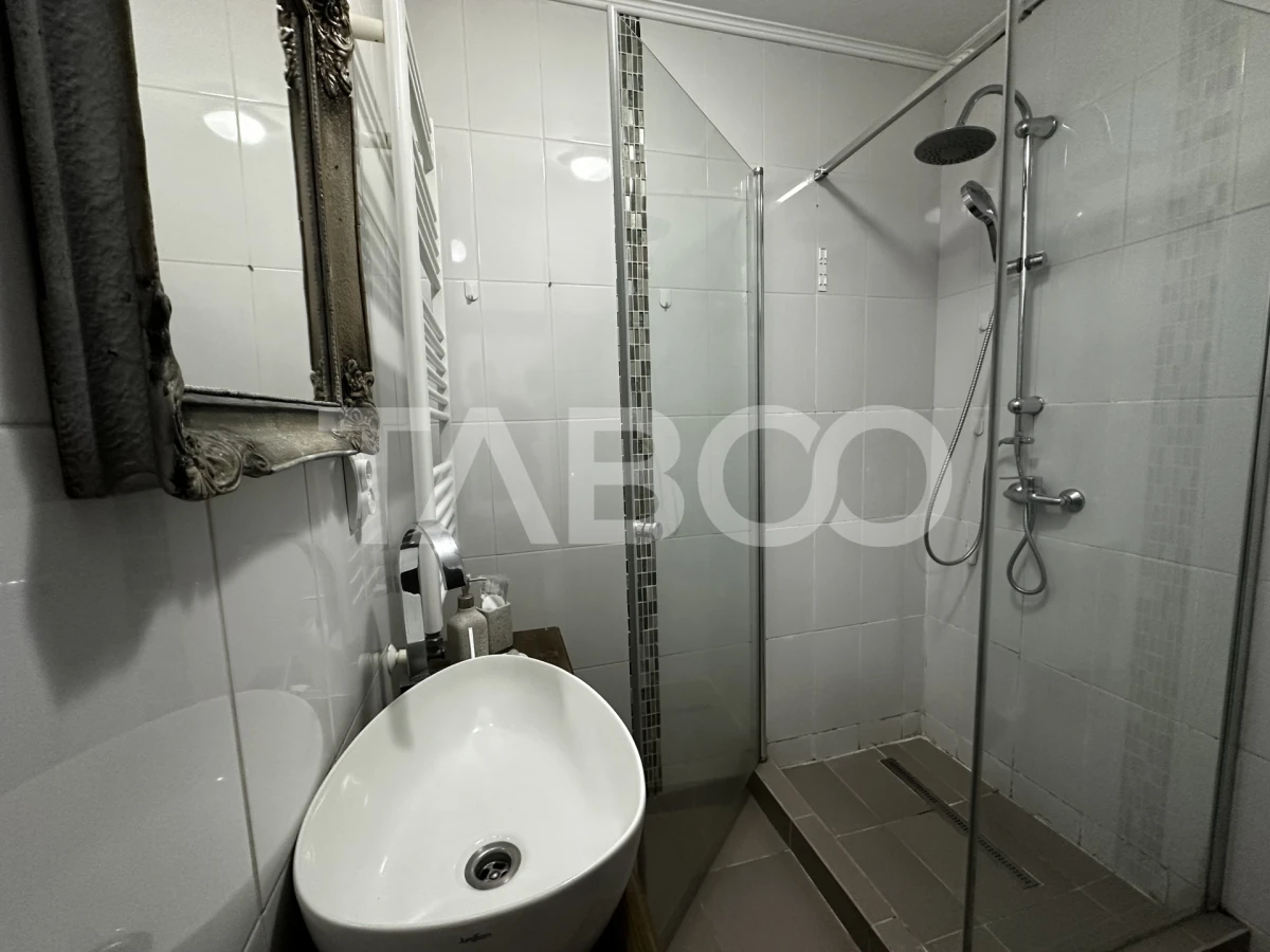 Apartament de vanzare 2 camere pretabil spatiu comercial in Sibiu - 8