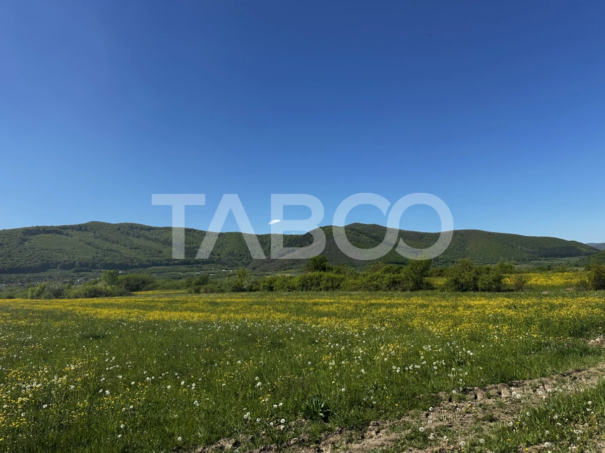 Teren intravilan in Poplaca cu vedere la munti pretabil cabana - 1
