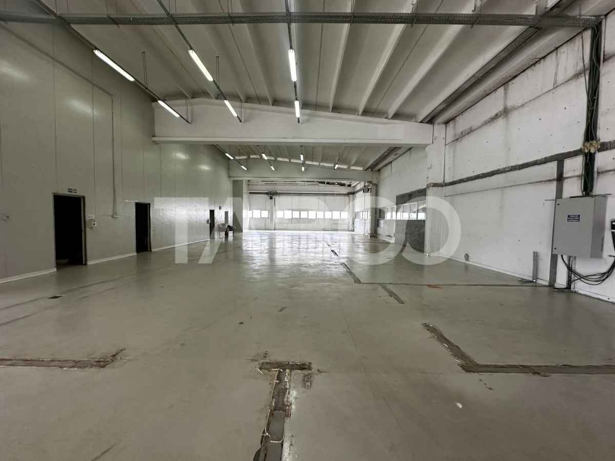 Hala industriala de inchiriat cu acces tir curte privata Selimbar - 6