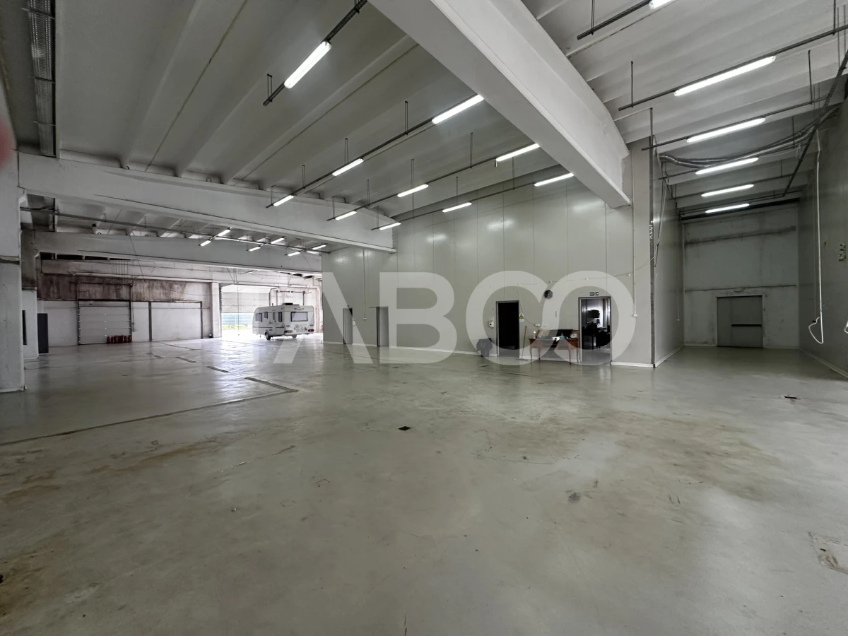 Hala industriala de inchiriat cu acces tir curte privata Selimbar - 4