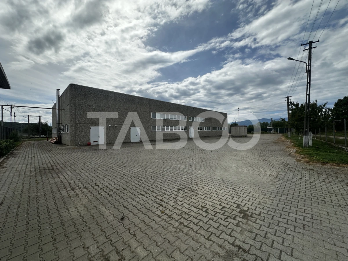 Hala industriala de inchiriat cu acces tir curte privata Selimbar - 2