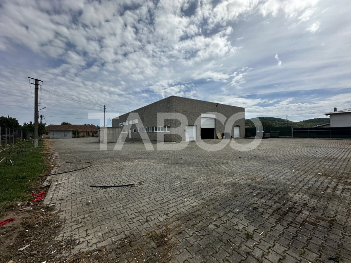 Hala industriala de inchiriat cu acces tir curte privata Selimbar - 1