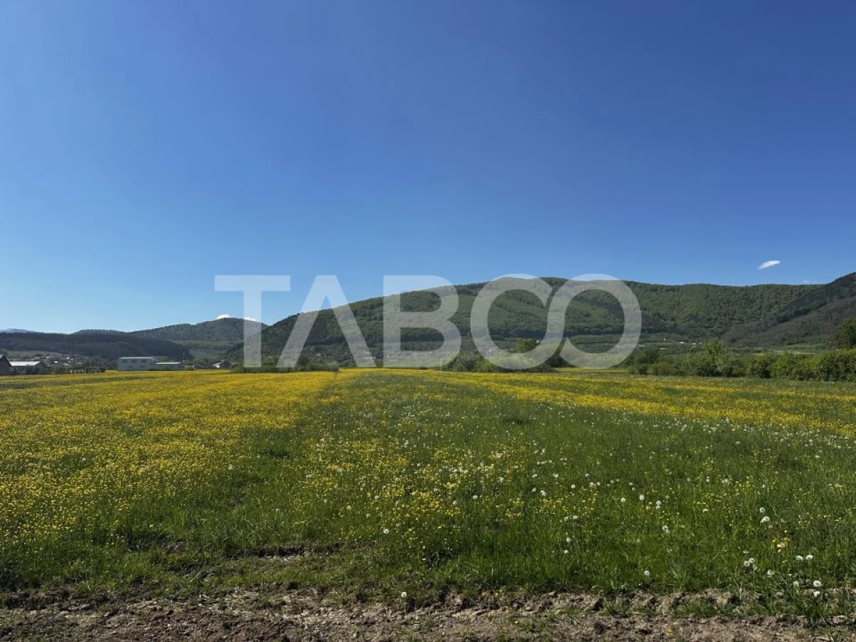 Teren de vanzare cu suprafata de 3000 mp zona industriala Poplaca - 1