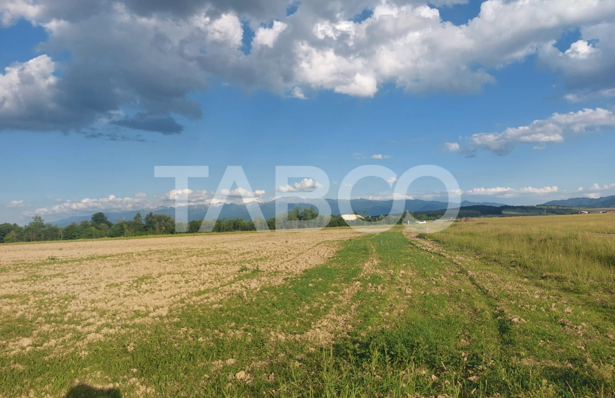 Teren extravilan 16500 mp front 47 m acces auto zona aerodrom Cisnadie - 4
