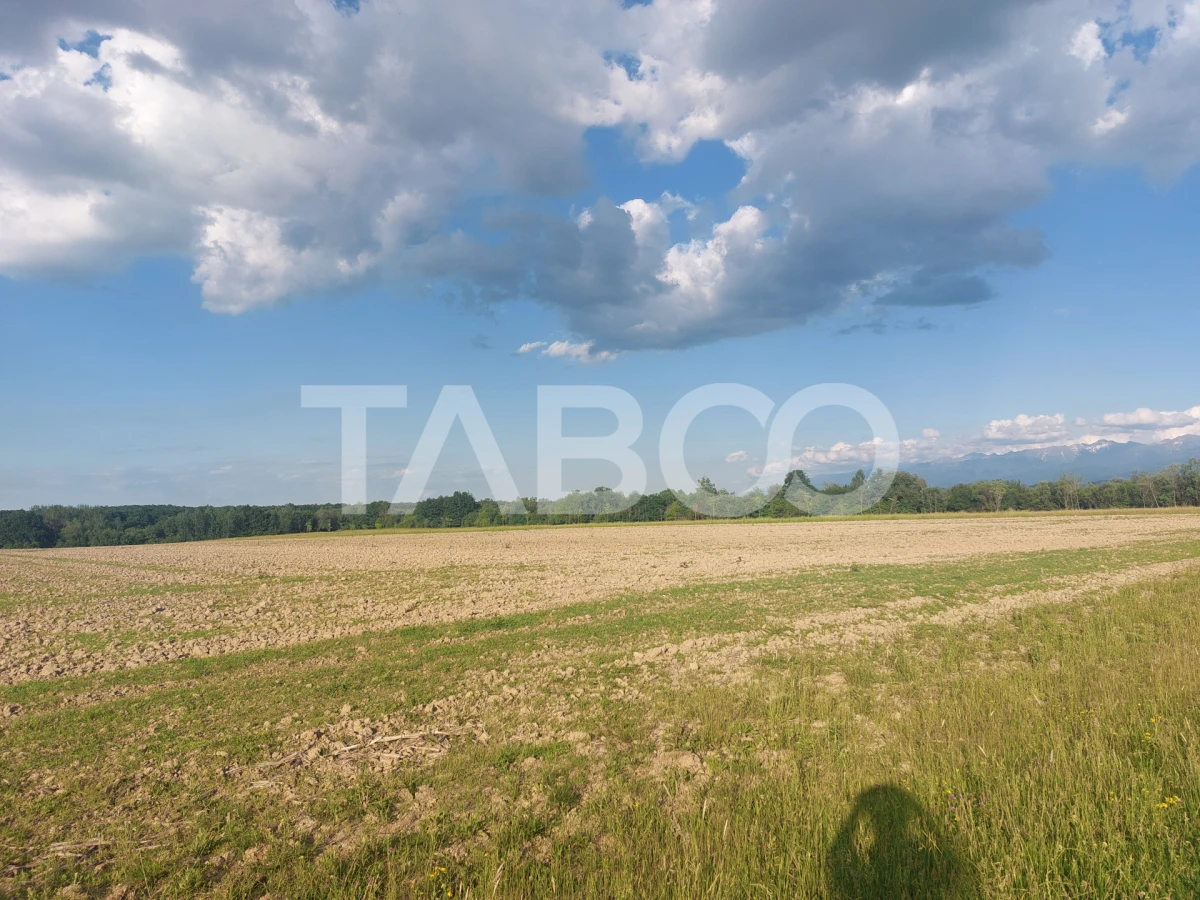 Teren extravilan 16500 mp front 47 m acces auto zona aerodrom Cisnadie - 3