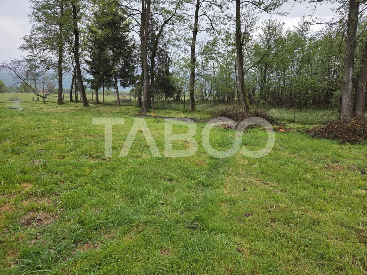 Teren intravilan de vanzare 1360 mp la poalele muntilor Fagaras - 4