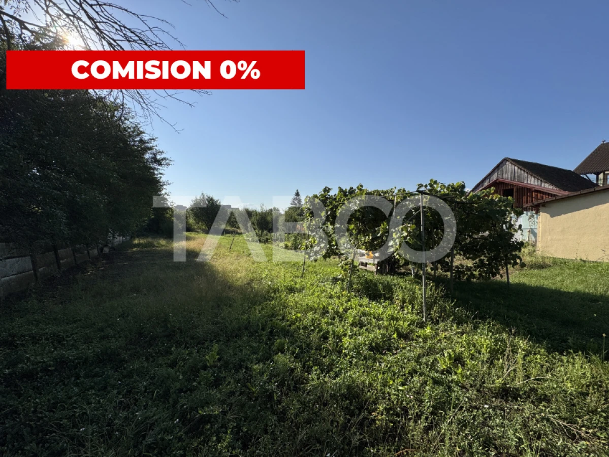 Teren intravilan de vanzare 4783 mp toate utilitatile Turnisor Sibiu - 1
