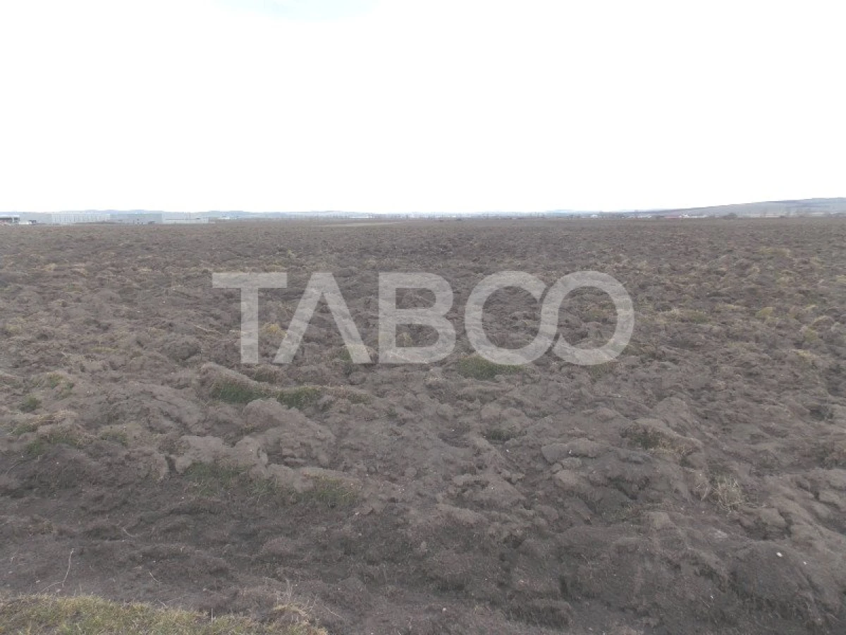 Teren intravilan de vanzare 10.000 mp in zona Industriala Vest Sibiu - 5