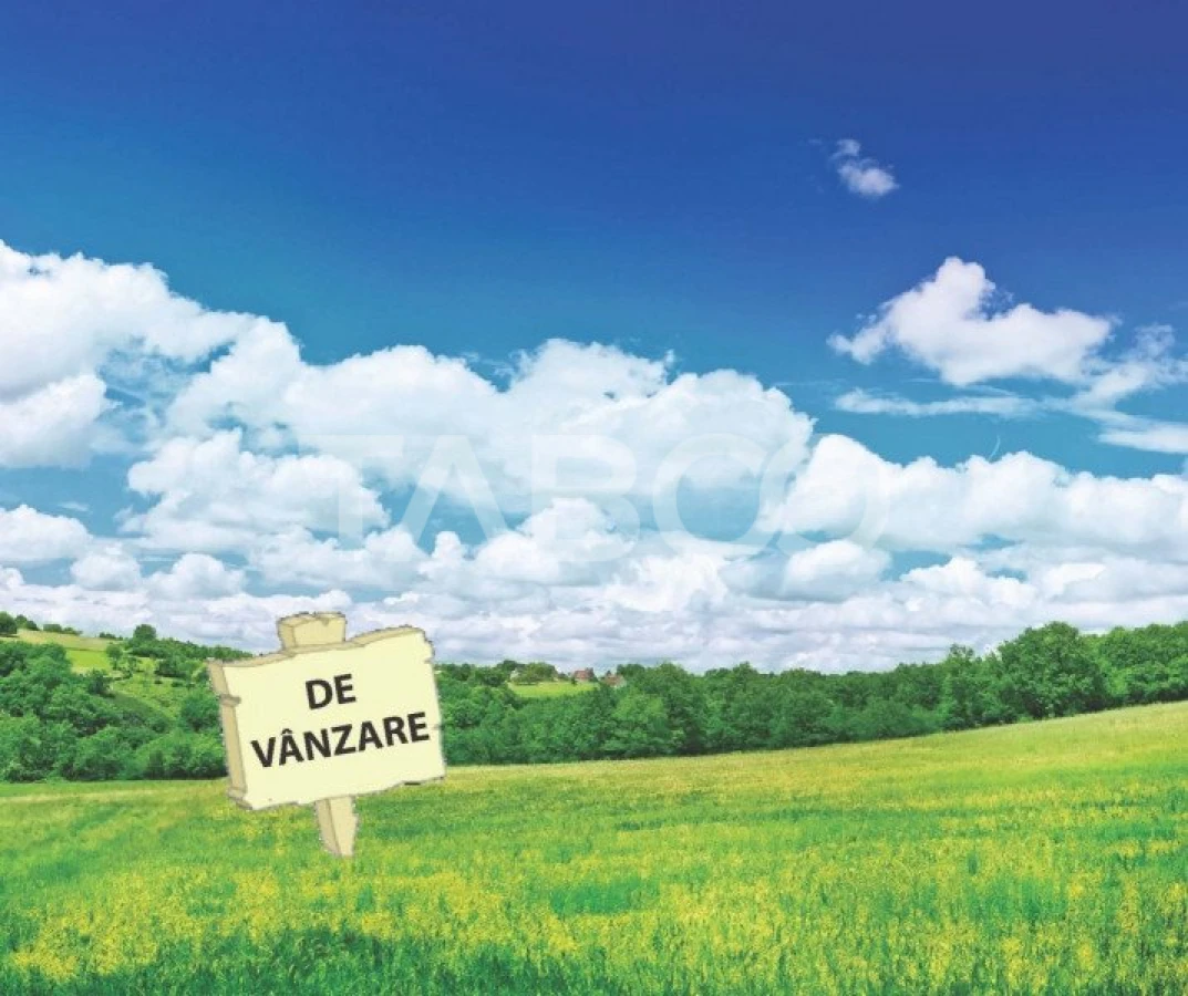 Teren intravilan de vanzare 5.986 mp Dealul Daii Sibiu - 4