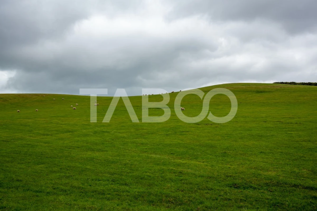 Teren intravilan de vanzare 5.986 mp Dealul Daii Sibiu - 2