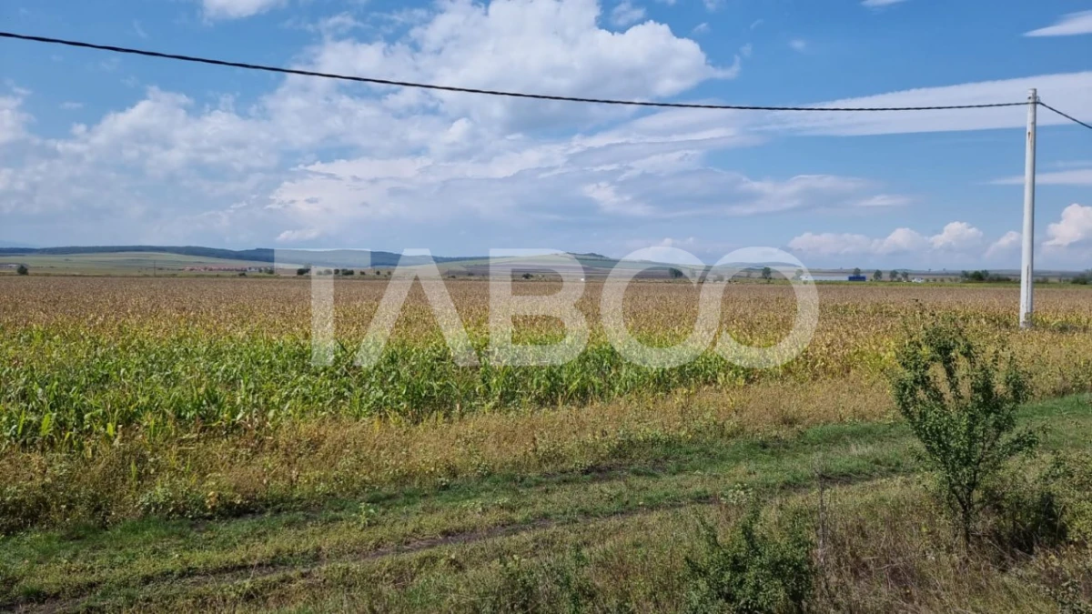 Oportunitate investitie Comision 0% 28000 mp in Sura Mica Sibiu - 5