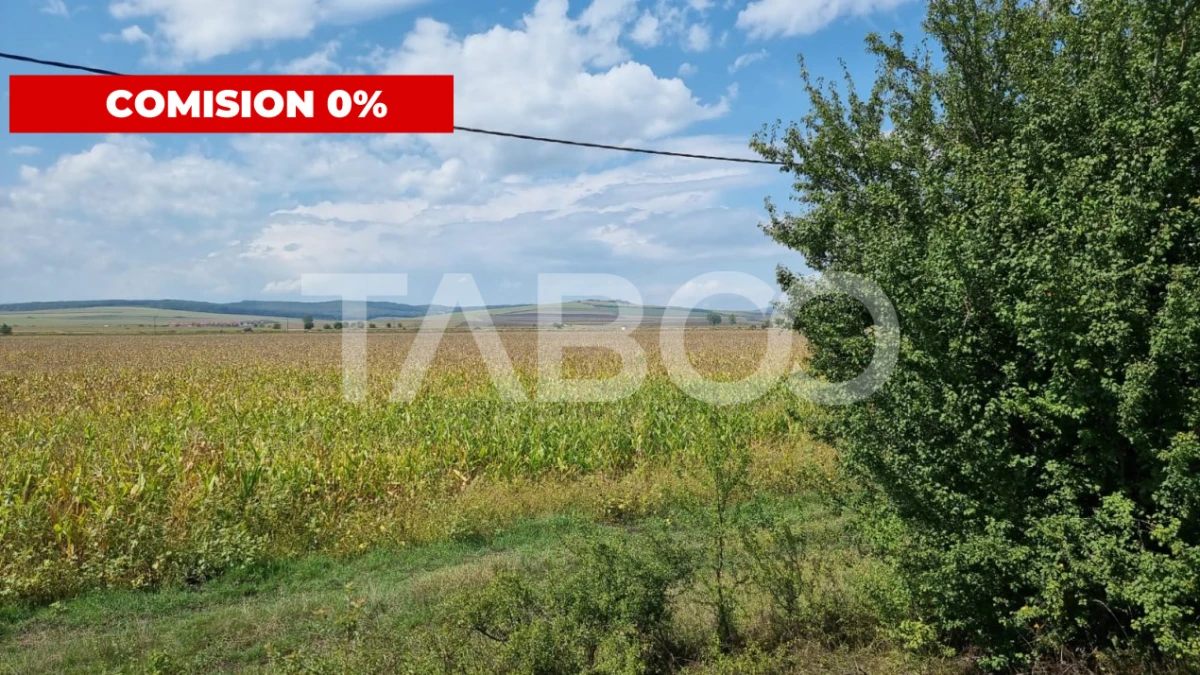 Oportunitate investitie Comision 0% 28000 mp in Sura Mica Sibiu - 2
