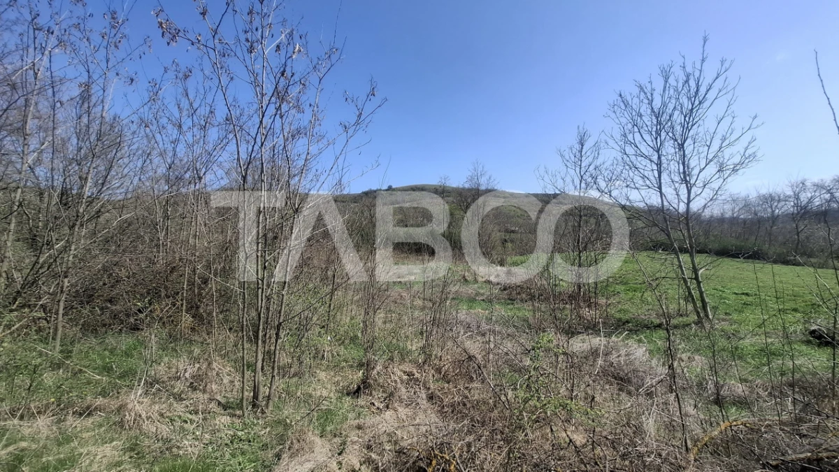 Teren de vanzare 1450 mp intravilan Slimnic Sibiu - 1