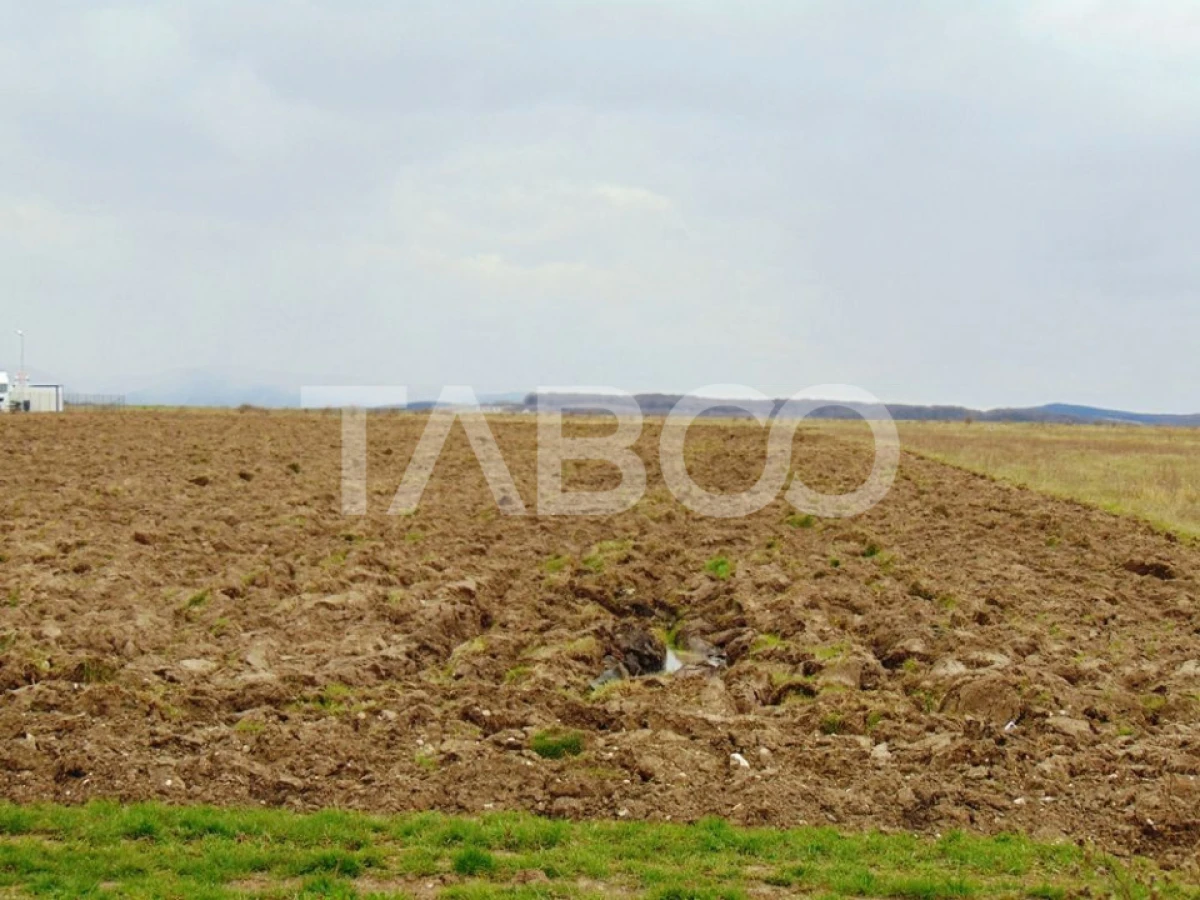 Teren intravilan 2 ha deschidere drum zona Industriala Vest Sibiu - 6