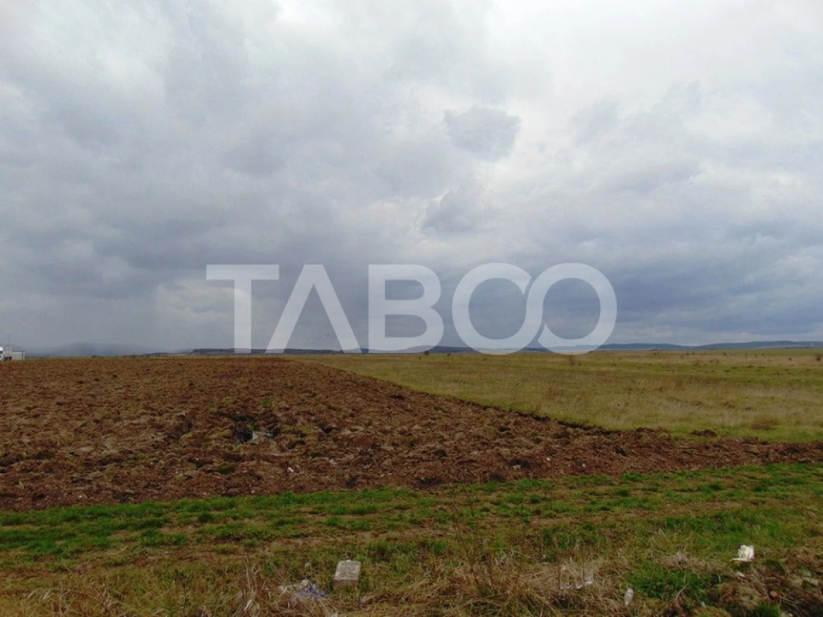 Teren intravilan 2 ha deschidere drum zona Industriala Vest Sibiu - 4