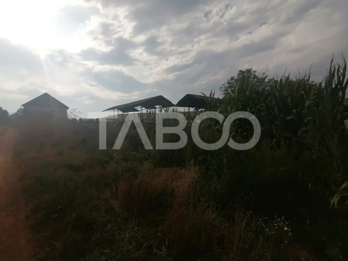 Oportunitate investitie Teren de vanzare 18.844 mp zona Turnisor Sibiu - 4