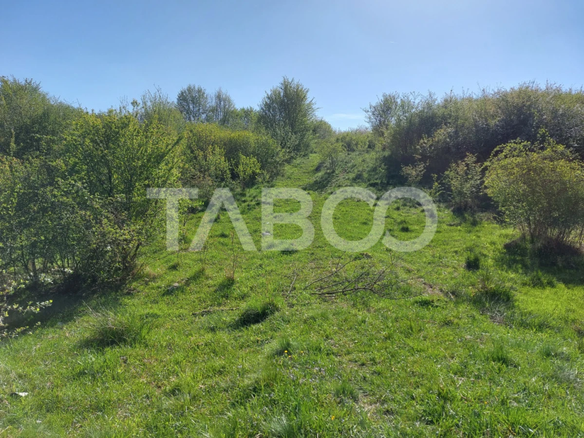 Teren 3445 mp intravilan front 26 m utilitati in zona in Cisnadie - 8