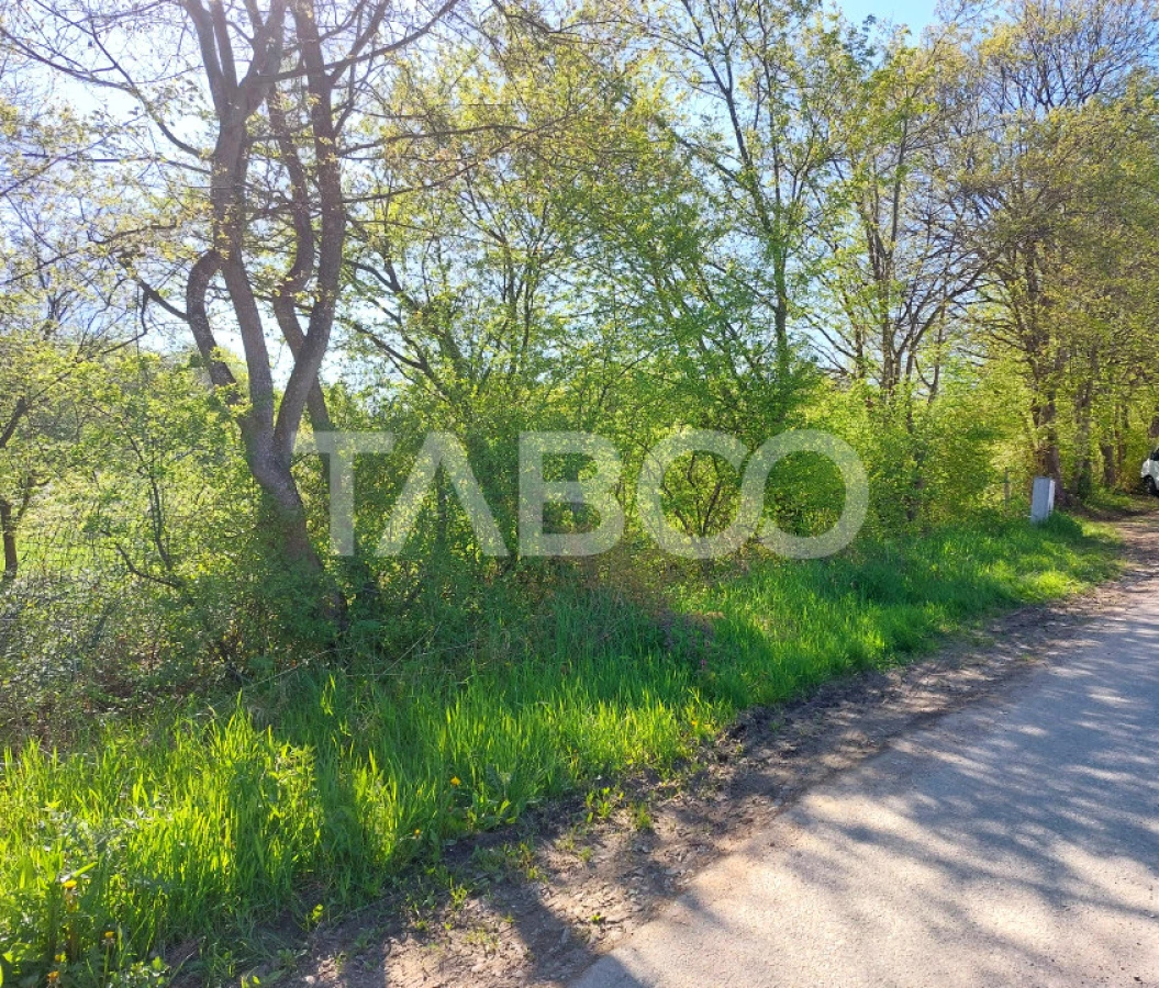 Teren 3445 mp intravilan front 26 m utilitati in zona in Cisnadie - 3